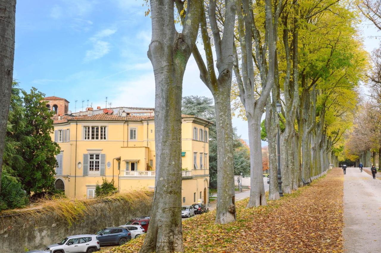 Palazzo Froussard B&B And Living Lucca Exteriör bild